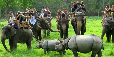 Kaziranga & Vishnath