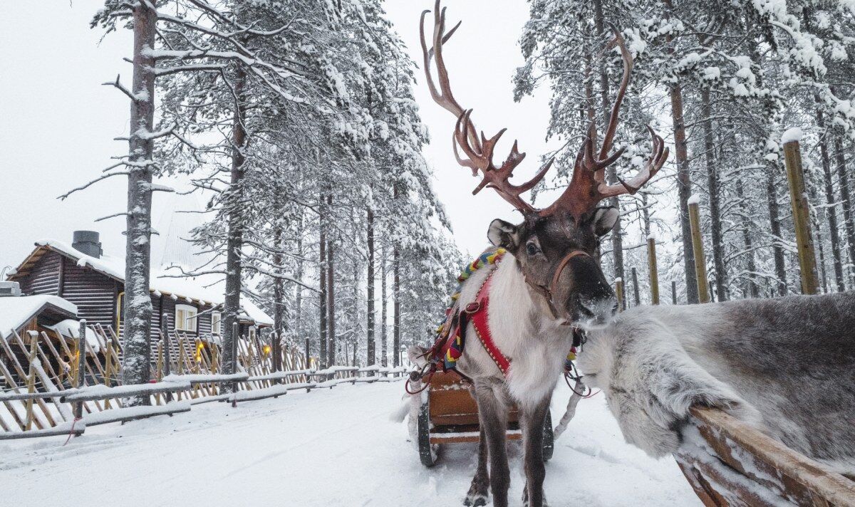 Sami Village & Murmansk City Tour