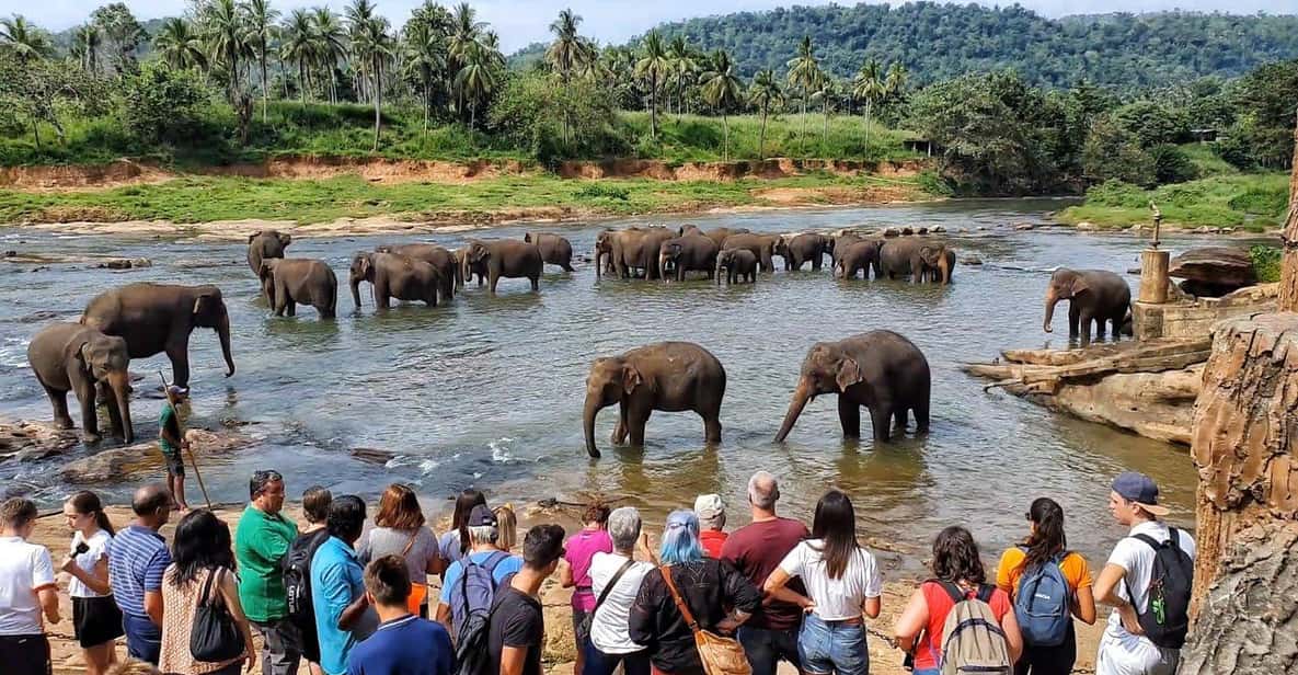 Arrival – Pinnawala – Kandy