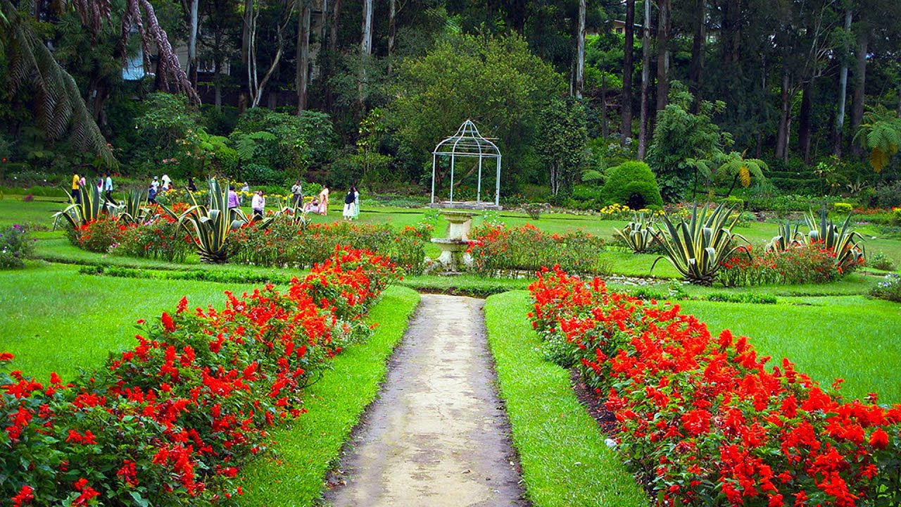 Nuwara Eliya City Tour