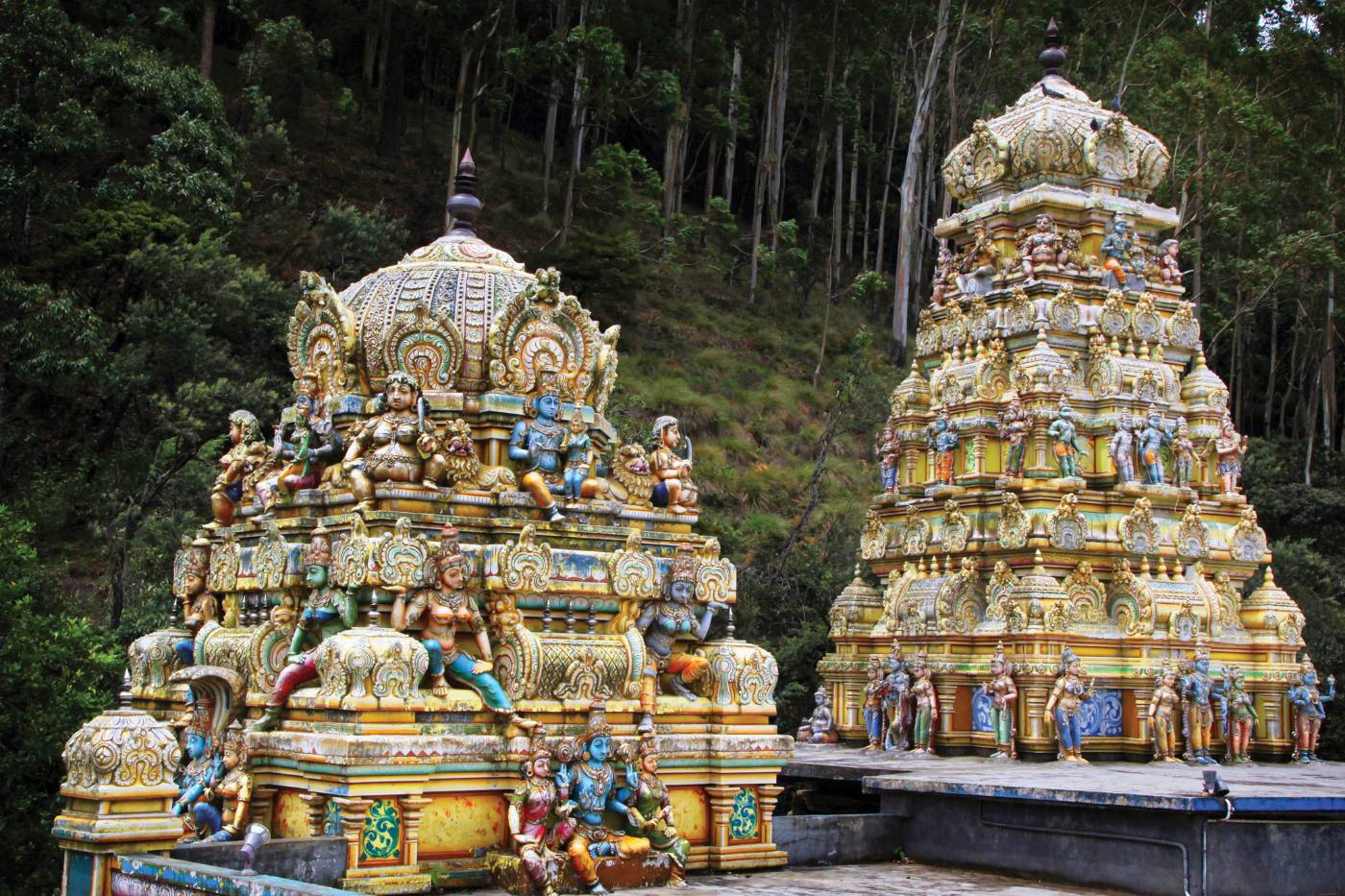 Nuwara Eliya – Bentota
