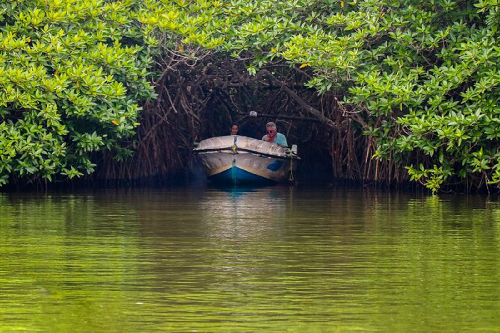 Bentota Experiences