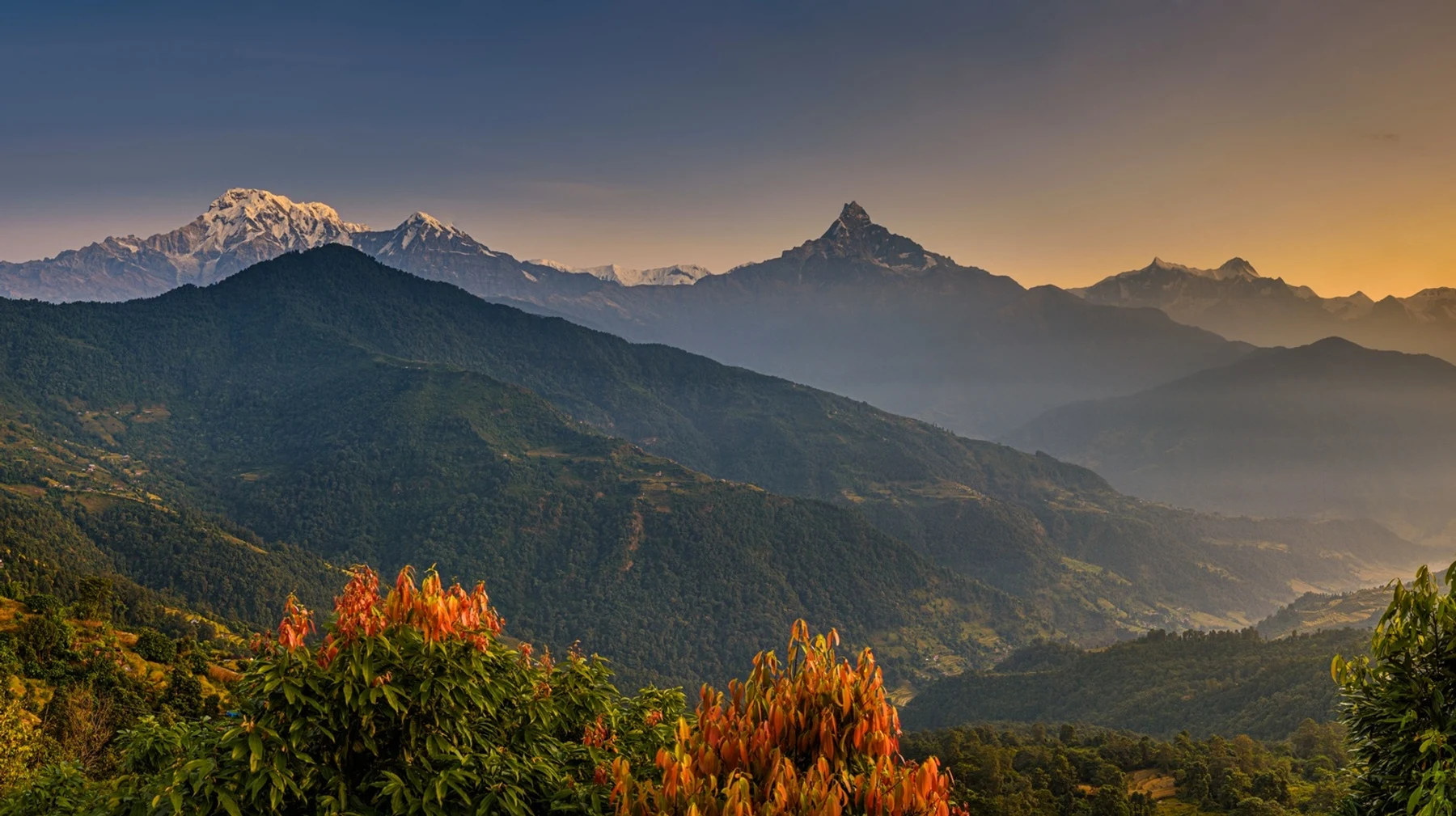 Nepal Tour Packages
