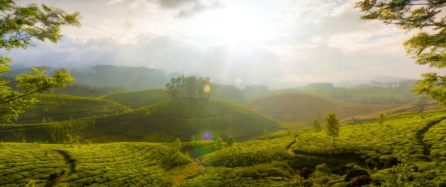 India Tour Packages