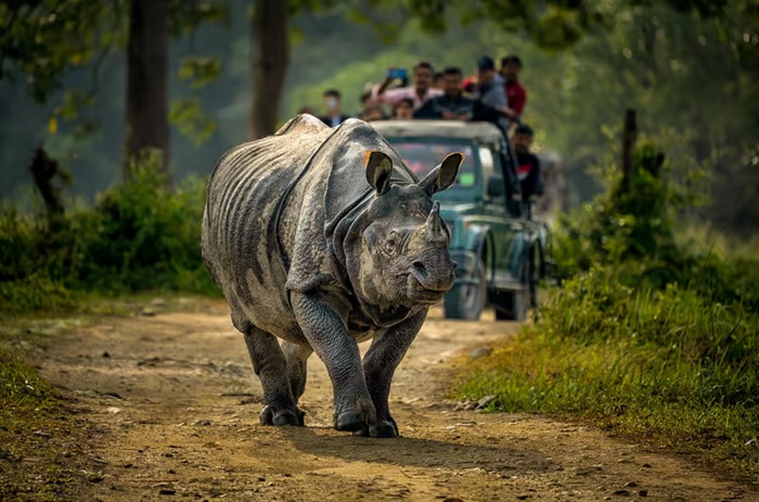 Chitwan National Park Nepal Destination