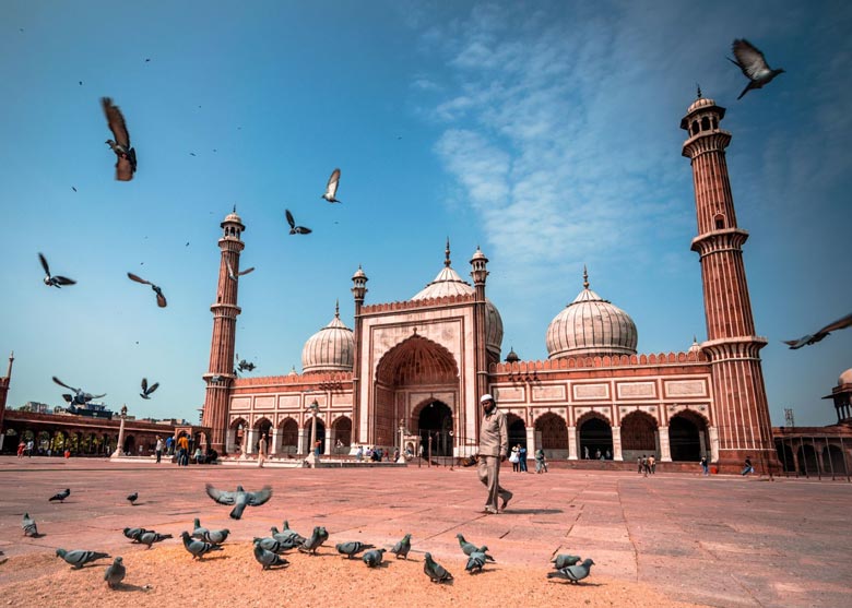 Old Delhi Tours - Heritage, Culture and Street Food