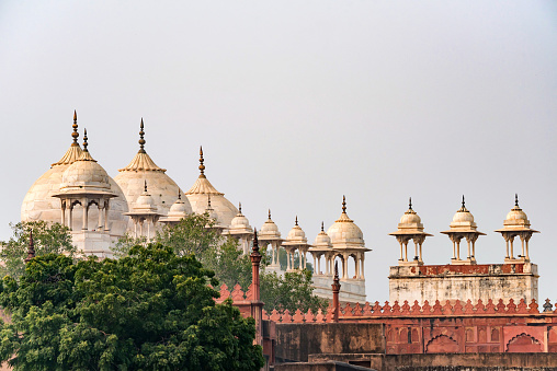 Pearl Mosque inside Agra Fort