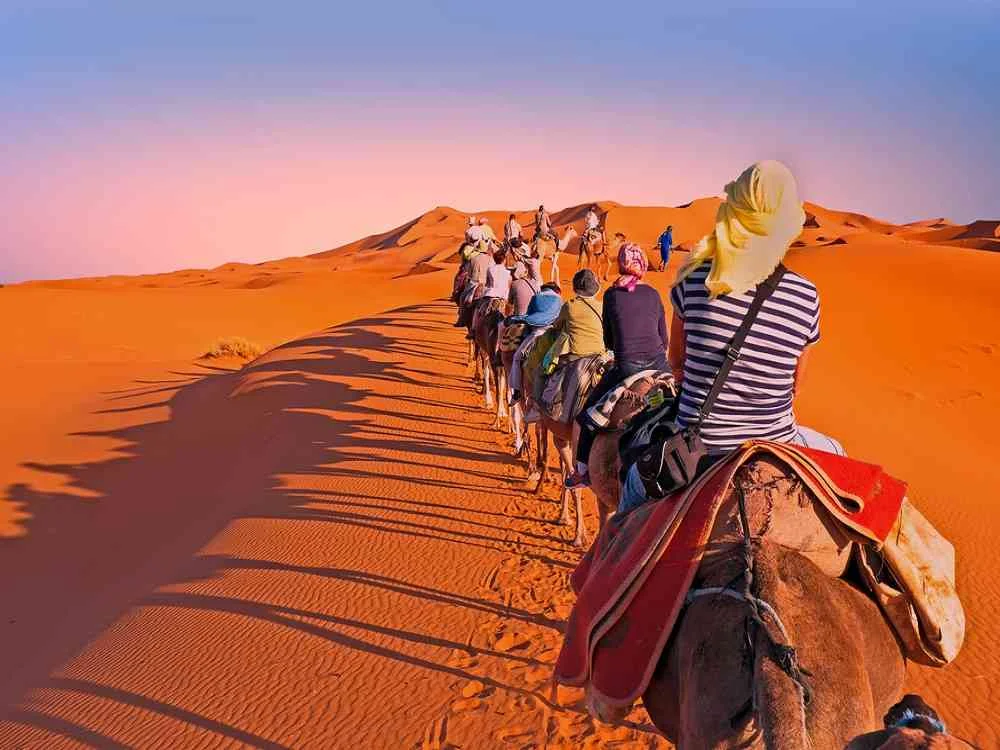 Photo Safari Tours